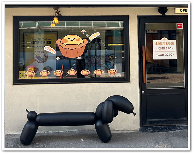 속초리자인카페 쇼케이스